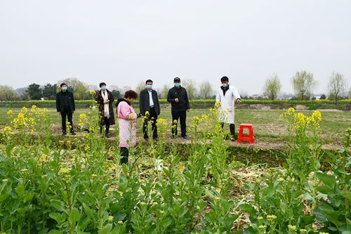 信阳市农业科学院 河南省农业科学院信阳分院