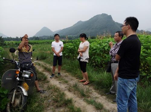 桑蚕试验站团队成员到恭城瑶族自治县调研桑蚕生产情况