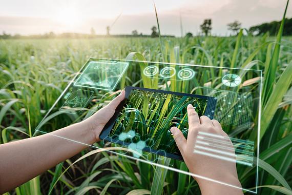 助力农业绿色升级,科迪华—科技小院农业可持续发展试验示范项目启动