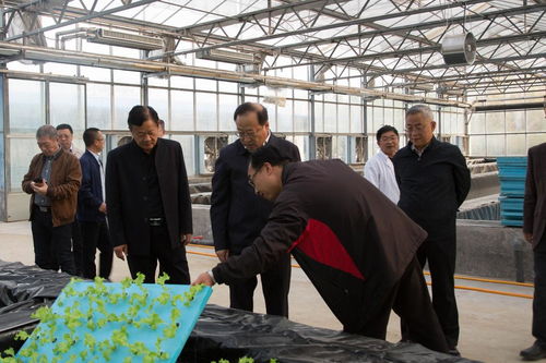 吉林省农业科学院党委副书记高显彬一行 到河南现代农业研究开发基地调研