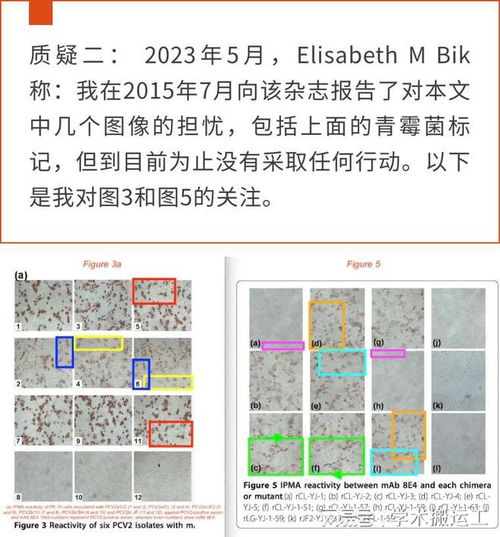 中国农业科学院哈尔滨兽医研究所的论文实验图因不合理重复被质疑