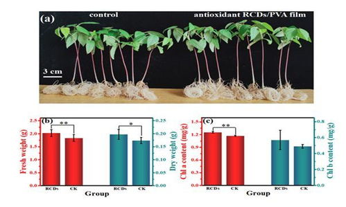 我科学家研发可转化光谱大棚薄膜