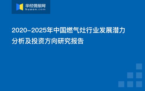 中国燃气灶行业发展潜力分析及投资方向研究报告